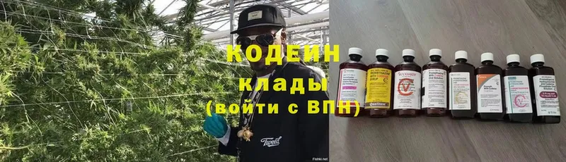 Кодеин Purple Drank  Алатырь 